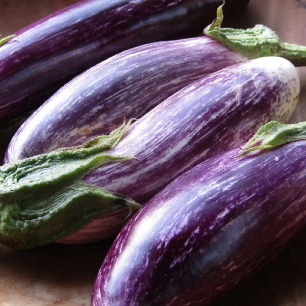 Aubergine 'Tsakoniki'