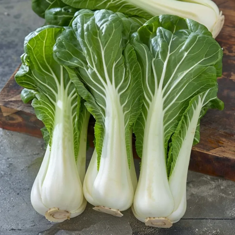 Pak choi, grön, för mikrogrönt