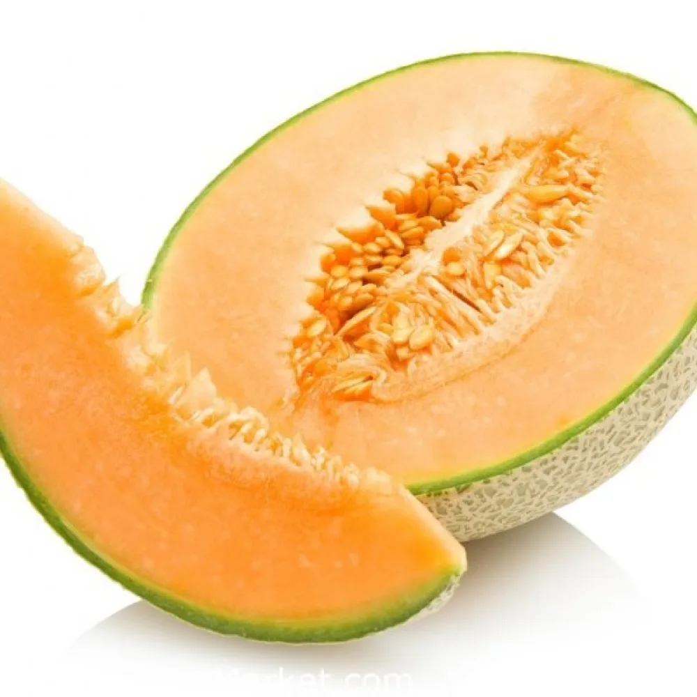 Melon 'Junior'