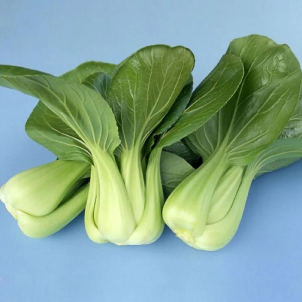 Pak choi, grön