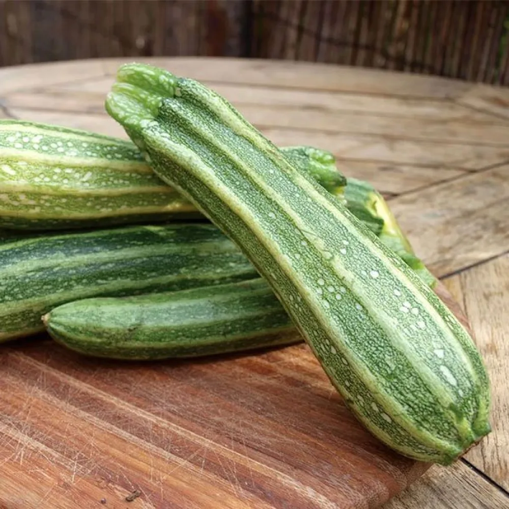 Zucchini 'Romanesco'