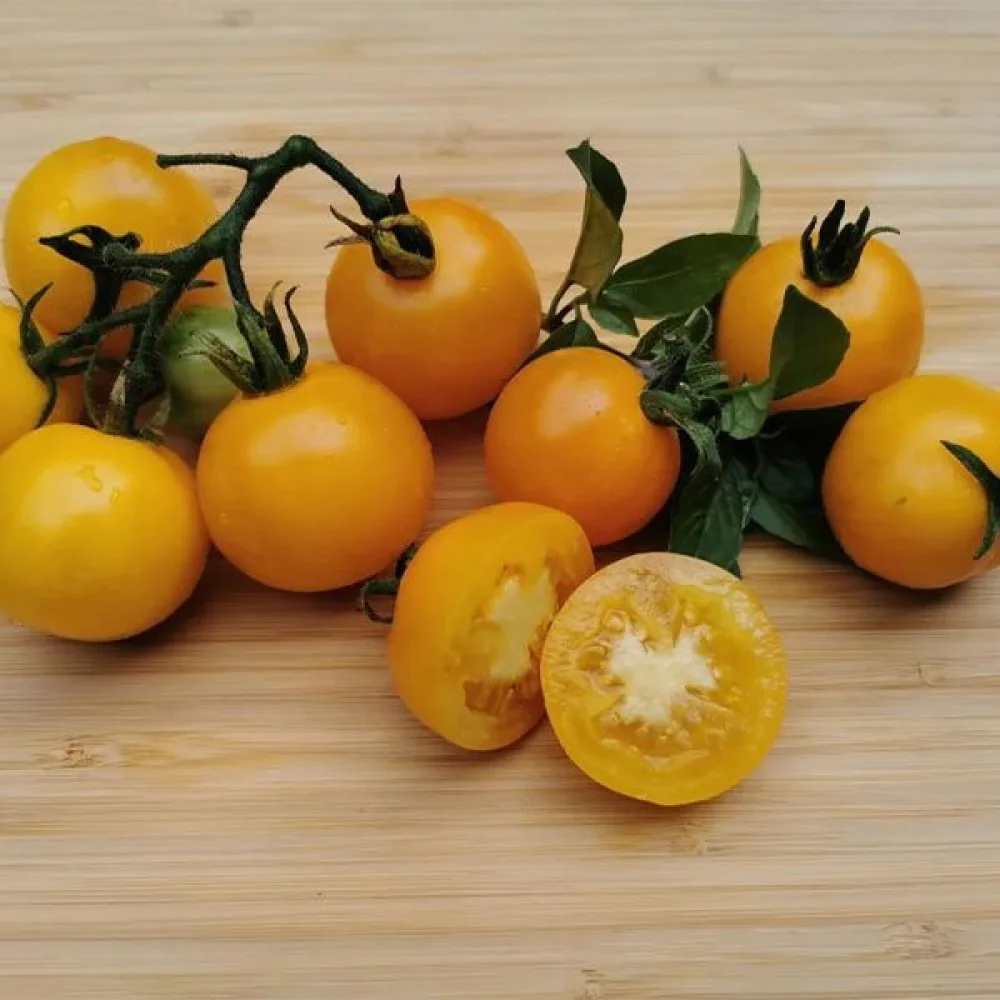 Tomat 'Goldene Königin'