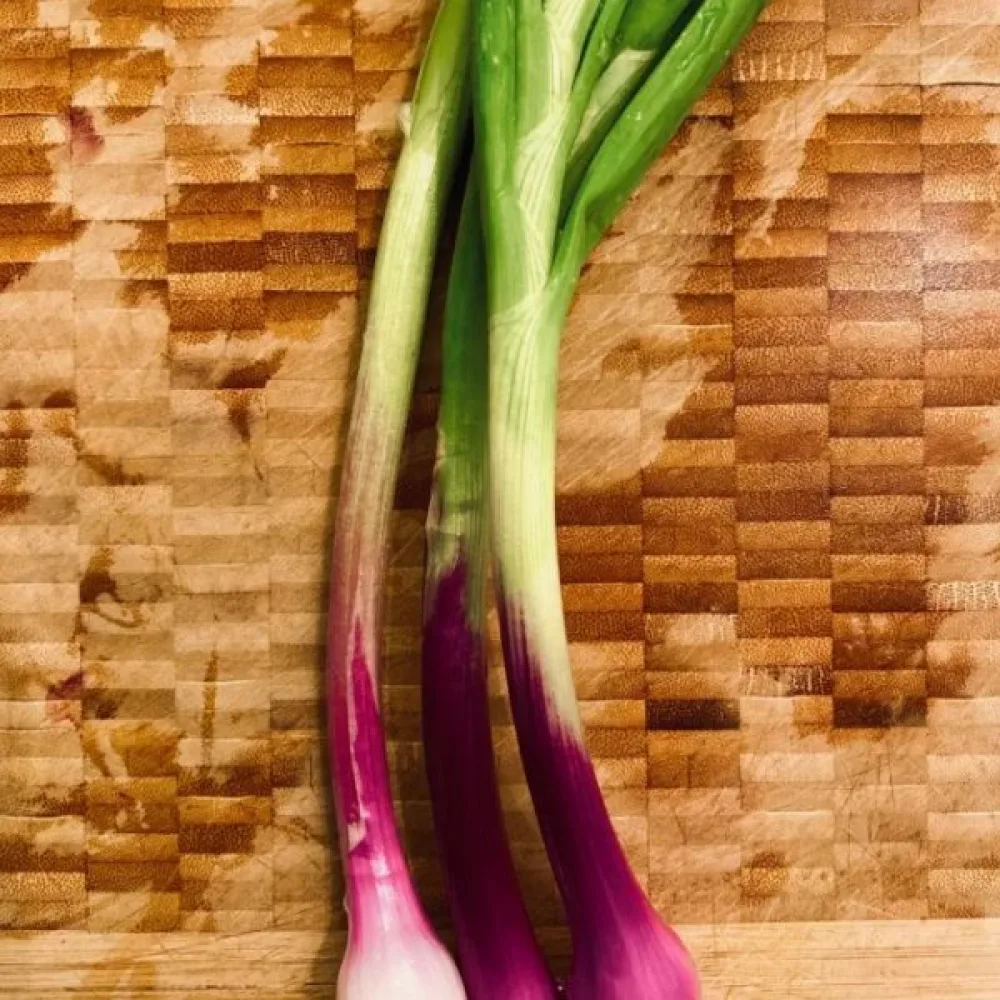 Salladslök 'Commune Rouge'