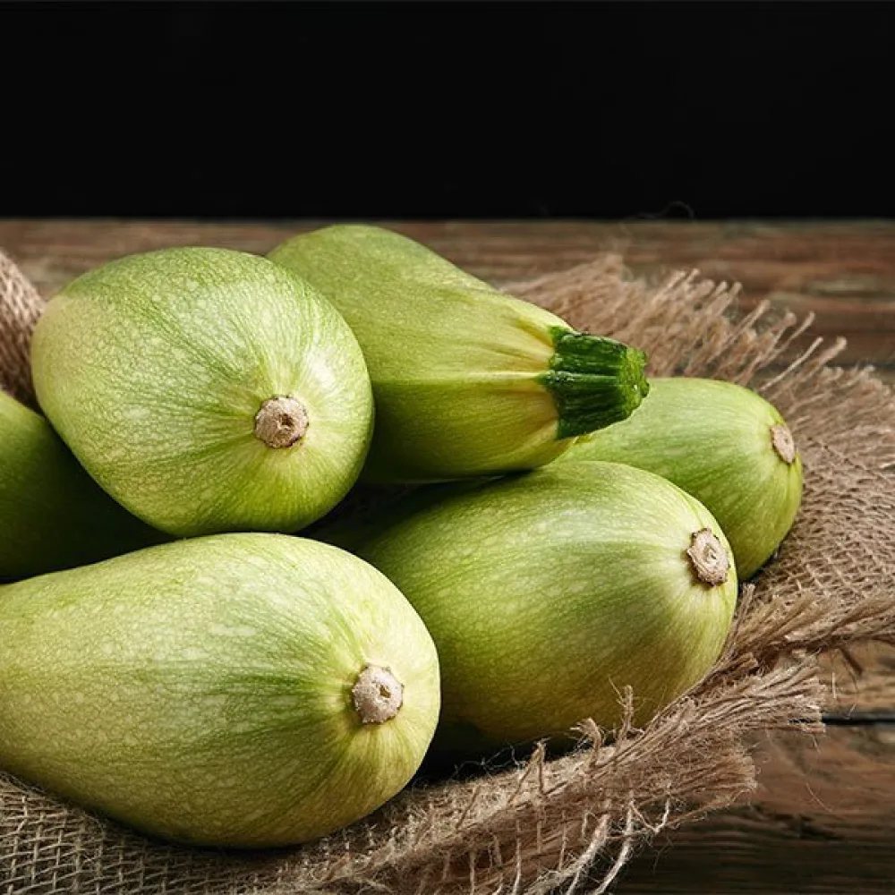 Zucchini 'Bianca di Trieste'