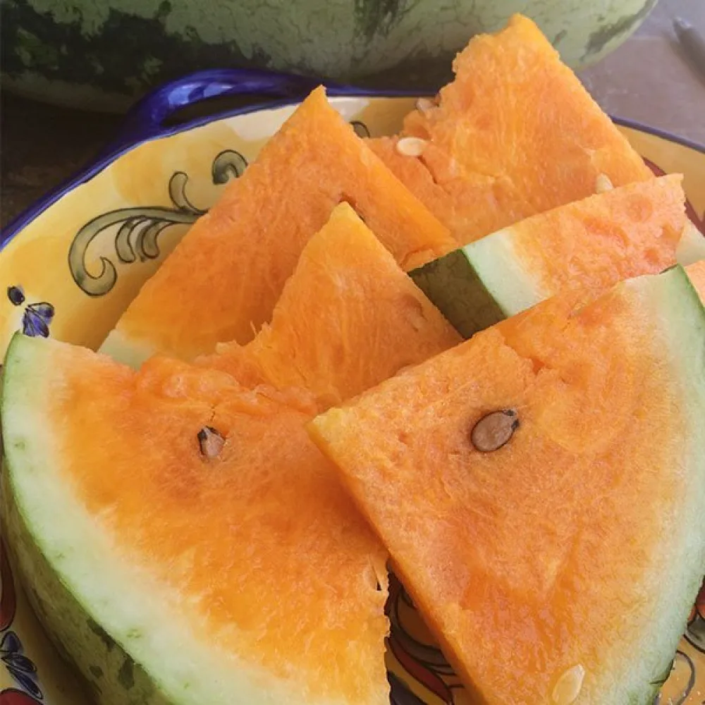 Vattenmelon 'Orangeglo'