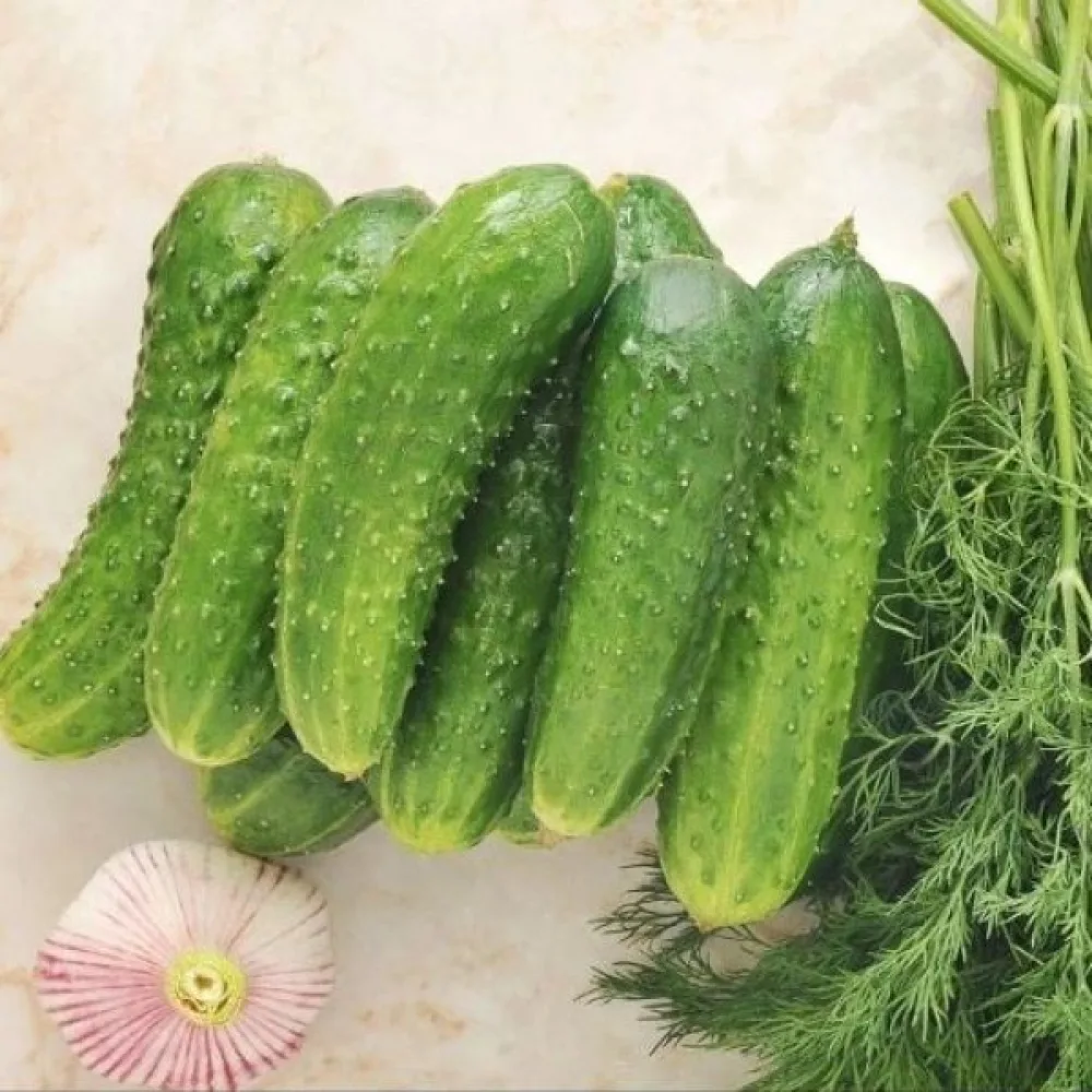 Druvgurka 'Krak' F1