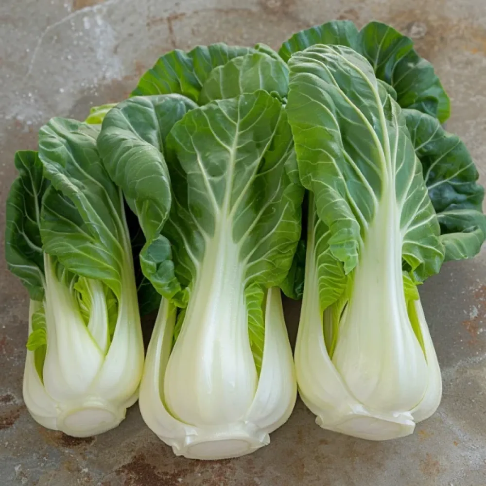 Pak choi, grön, för mikrogrönt