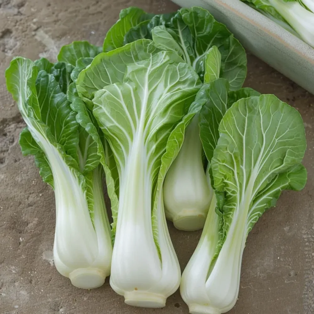 Pak choi, grön, för mikrogrönt