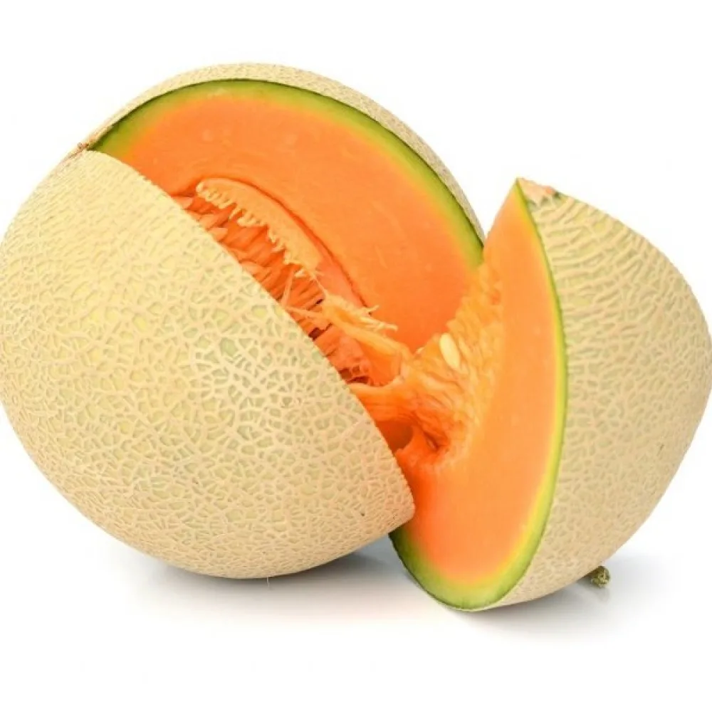 Melon 'Junior'