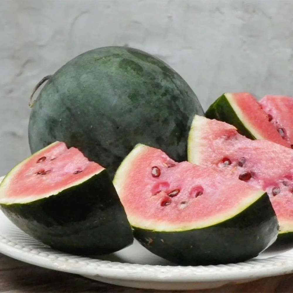 Vattenmelon 'Sugar Baby' 3–4 kg