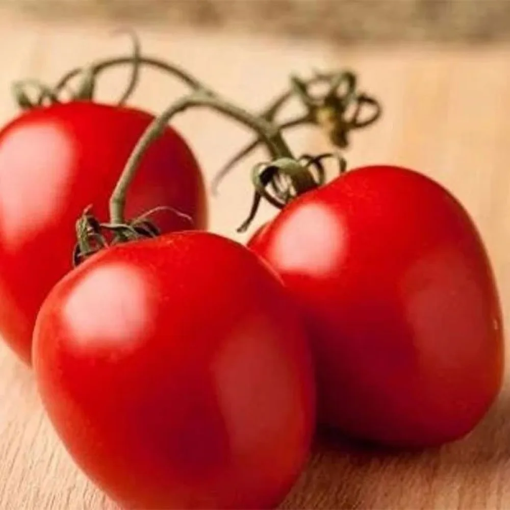 Tomat 'Kmicic'