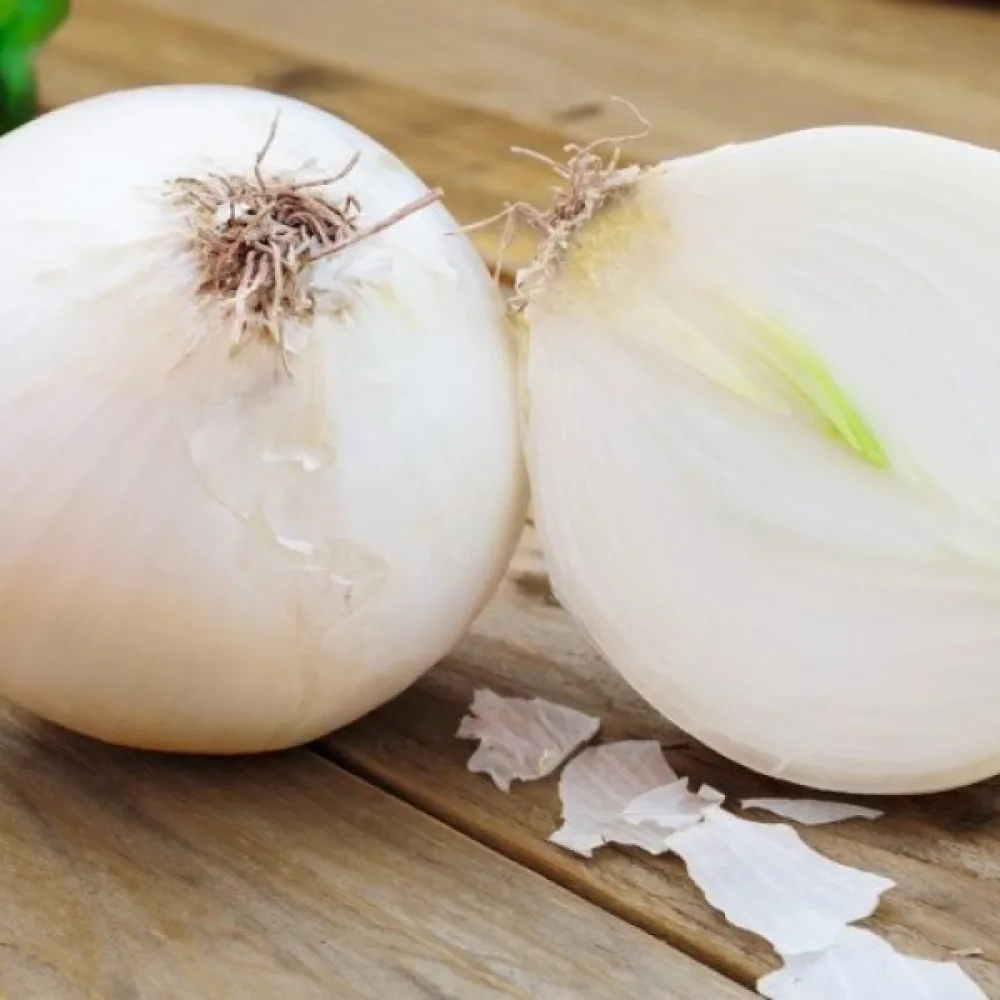 Matlök 'Agostana'